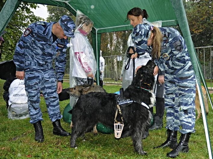 Московских кинолог. Кинолог полиция Москва. Кинолог в полиции. Кировская милиция кинологи. Руза кинолог.