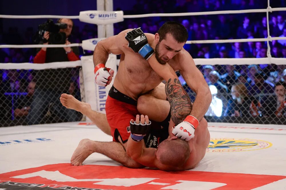 магомед мутаев мма. магомед мутаев мма. геннадий зуев черная весна. магомед магомедов горец. магомед мутаев бой.