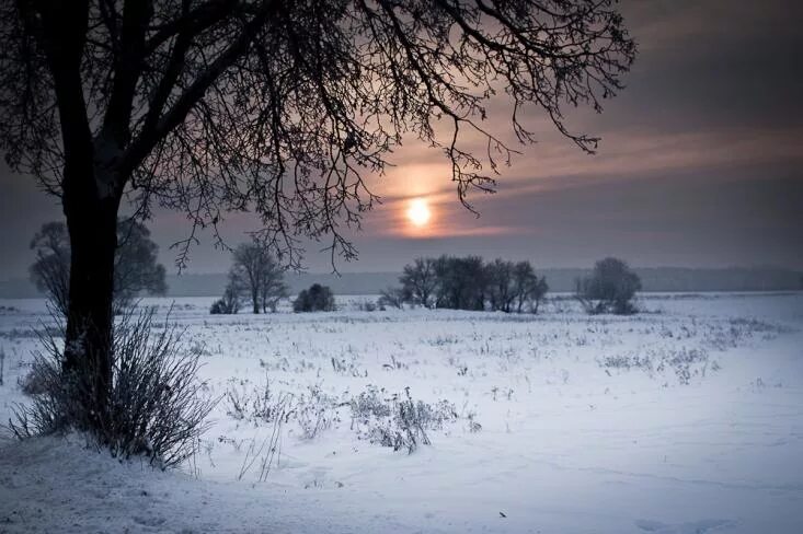 Снежная равнина. Снежная зима в россии поле. Снежная пелена. Фотосессия зимой с подушками. Снежная равнина белая.
