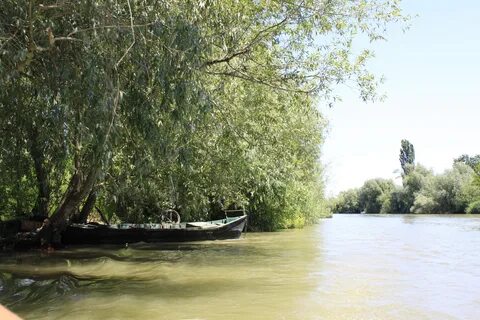 Вилкове фото