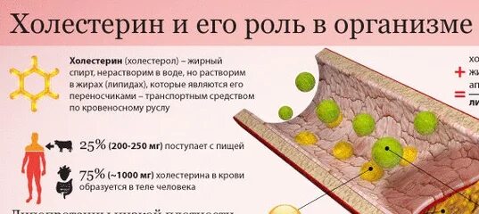 Мифы о холестерине. Холестерин мифы и реальность. Холестерин и его составляющие. Холестерин плакат.