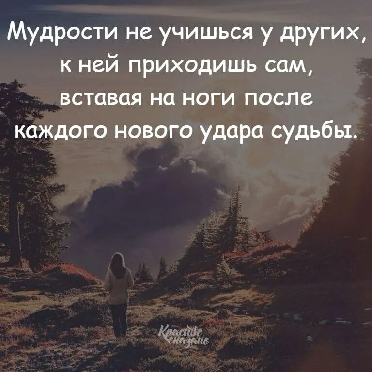 Подарки и удары судьбы 32. Удары судьбы цитаты. Мудрости не учишься у других. Научиться мудрости. Мудрости не учишься у других к ней приходишь.