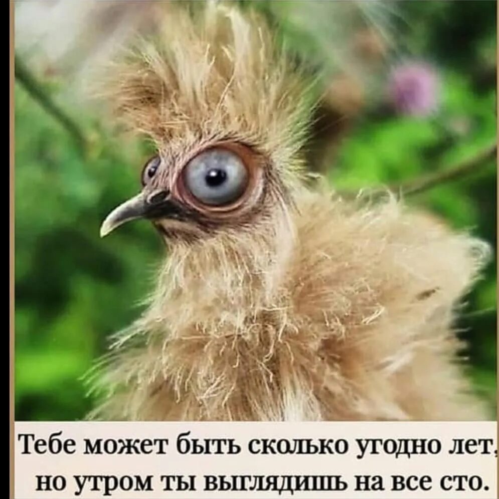 Как пишется взъерошенным или взьерошенным