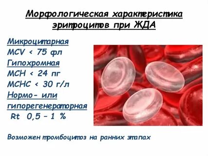 Норма гемоглобина в эритроците у женщин