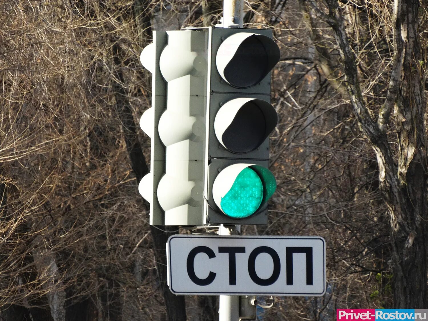 Работа ростов на дону светофор. Светофор ростов. много светофоров. светофор на мосту. лес светофоров в ростове.