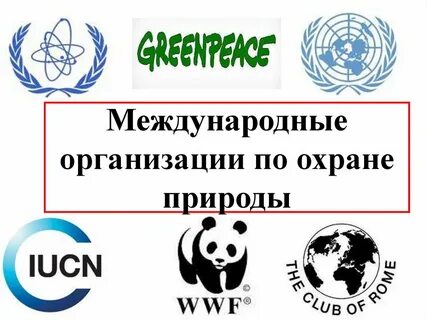 Международная организация охраны природы название