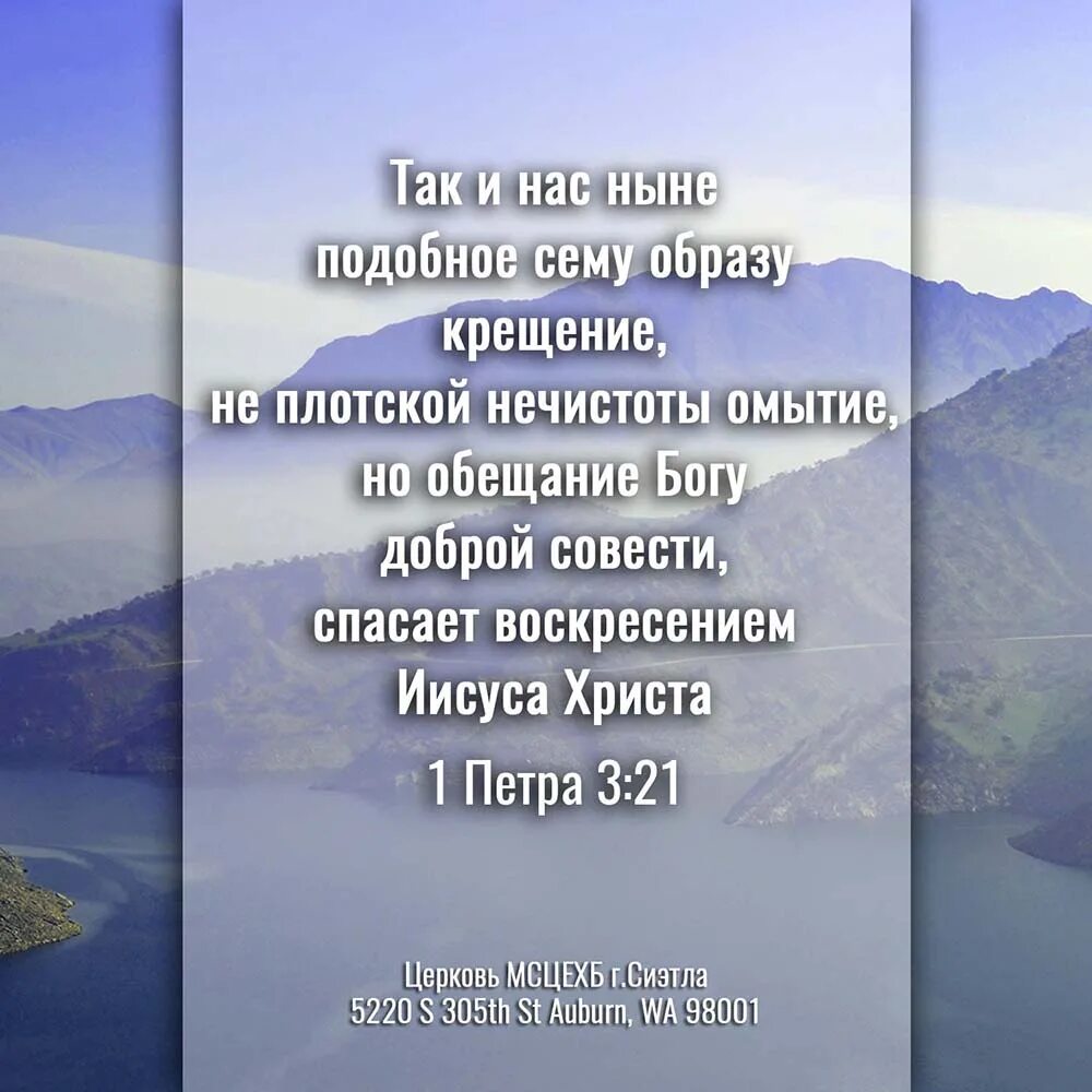 Крещение обещание богу доброй совести. Не плотской нечистоты омытие но обещание богу доброй совести. Служить господу доброй совестью. Крещение не плотской нечистоты омытие но обещание богу доброй. Крещение не плотской нечистоты омытие но обещание.