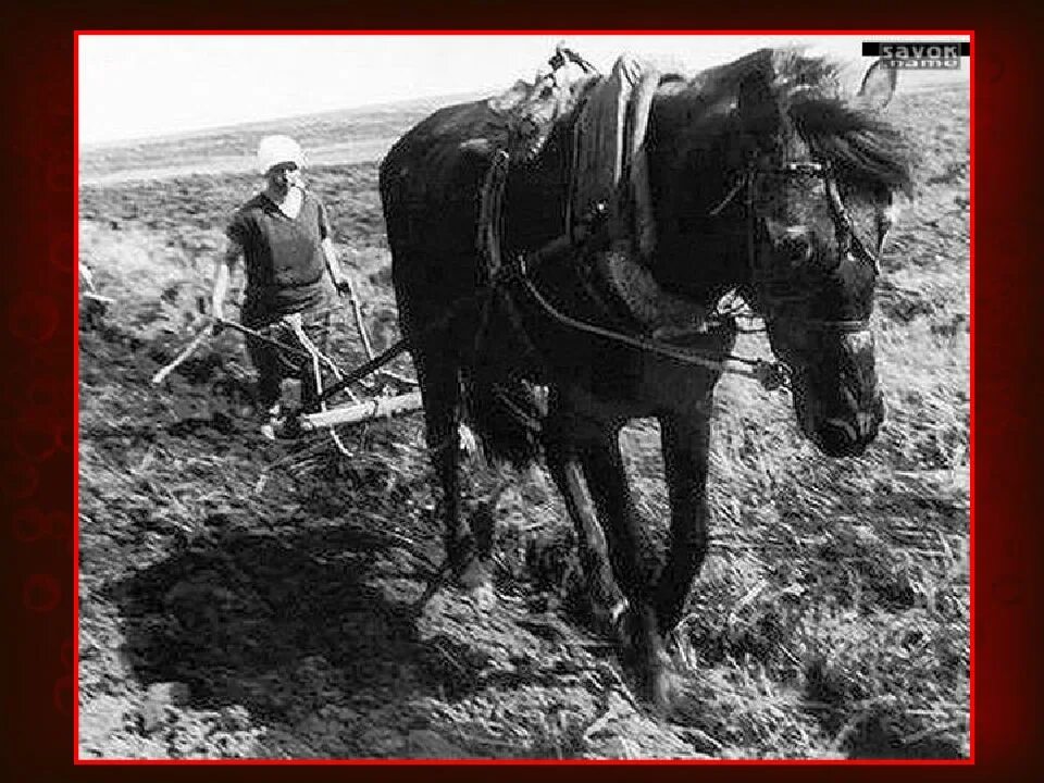 Труженик 7 букв. Посевная в годы Великой Отечественной войны. Крестьянин пашет землю. Труженики тыла в годы Великой Отечественной войны.