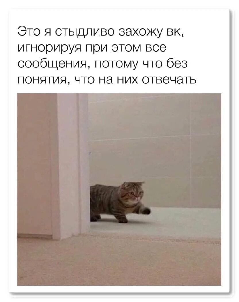 He comes once. Кот Мем. Мемы с котиками. Мем с котом он идет. Кот из мема.