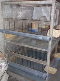 Клетка для несушек своими руками
