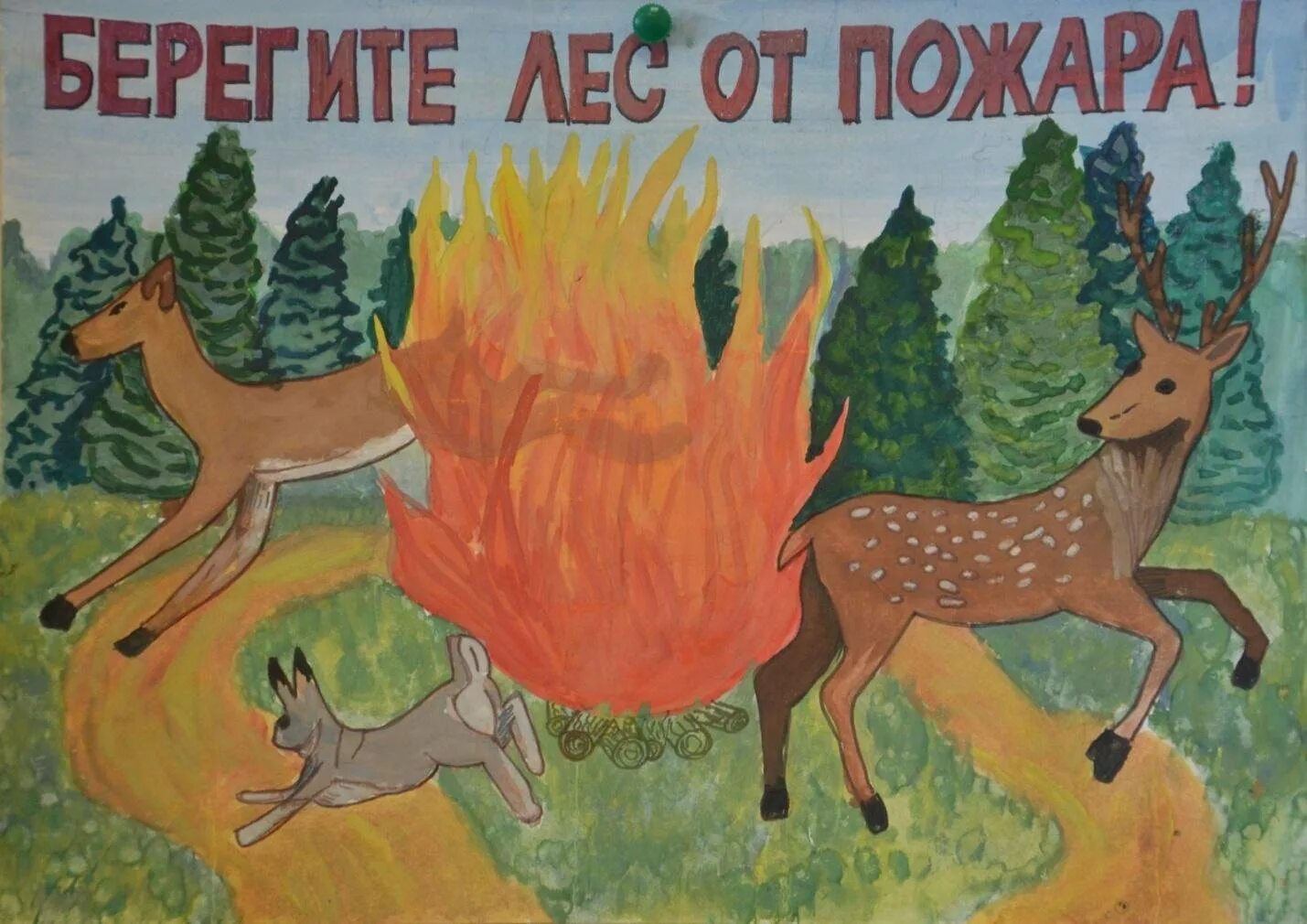 Спасем лес от пожара рисунки. Плакат берегите лес от пожара. рисунок на тему береги лес от пожара. рисунок на тему защитим лес от пожара. плакат береги лес от пожара рисунки.