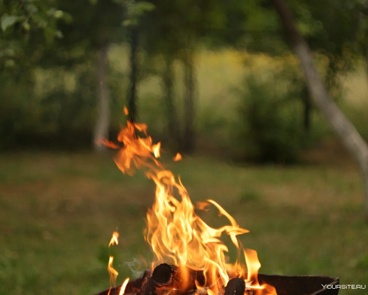 Пикник ты вся из огня. Мангал на природе. Шашлыки на природе. Мангал с огнем. Красивое барбекю на природе.