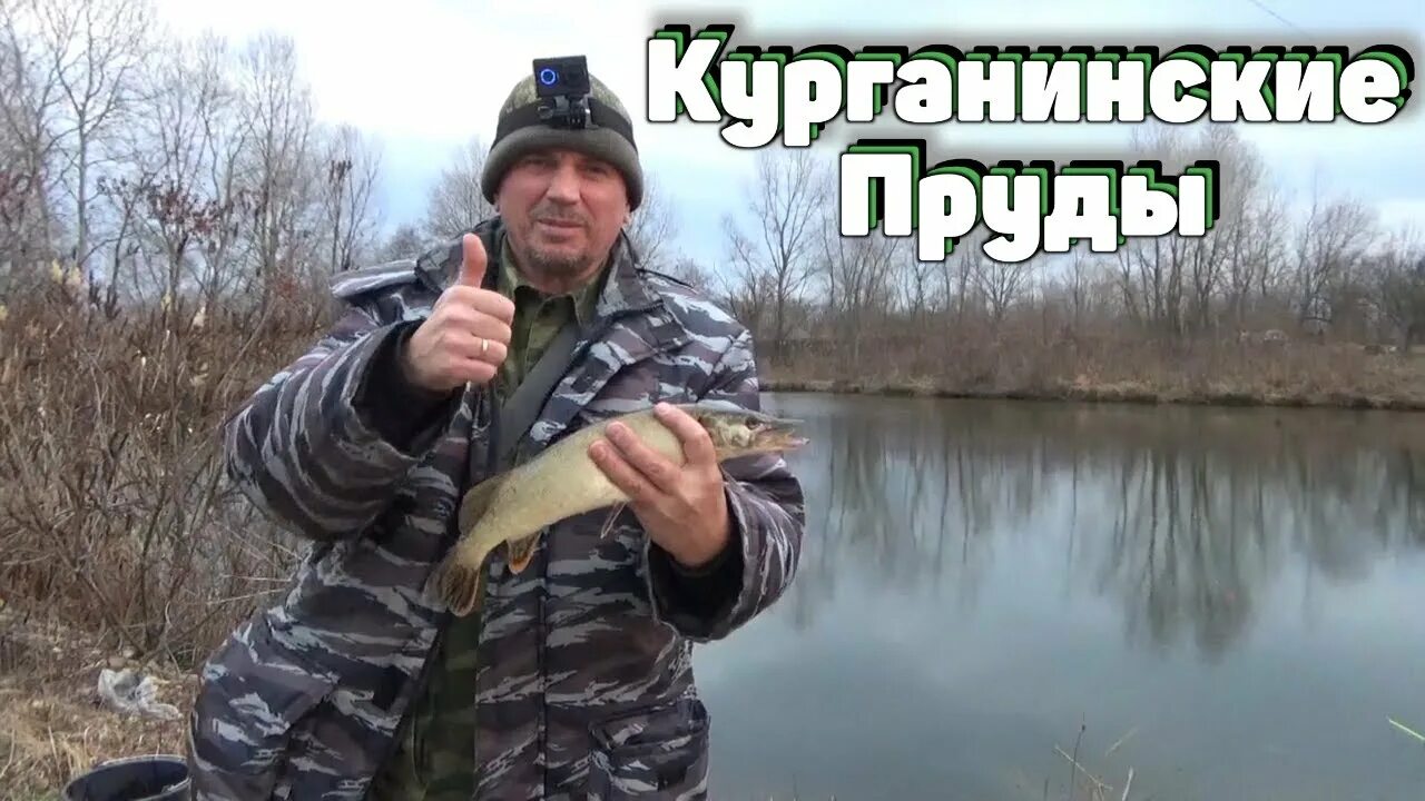 Видео курганинск. Рыбалка в Курганинске. Пруд в Курганинске. Три пескаря Курганинск рыбалка. Рыбалка в Курганинске Краснодарского края.