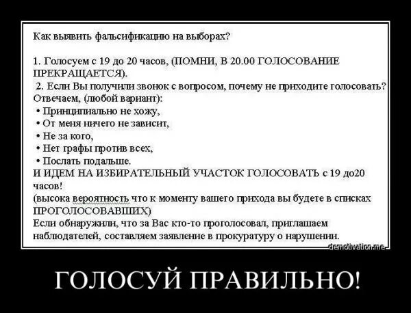 Анекдоты про выборы. Выборы демотиваторы. Анекдот про выбор. Голосование прикол.