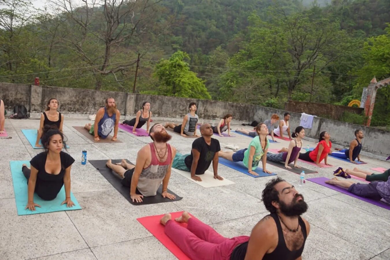 Йоги ришикеш. Шакти йога. Ришикеш йога Бадони. Центр йоги в Индии Ришикеш. Йога центр Индия.