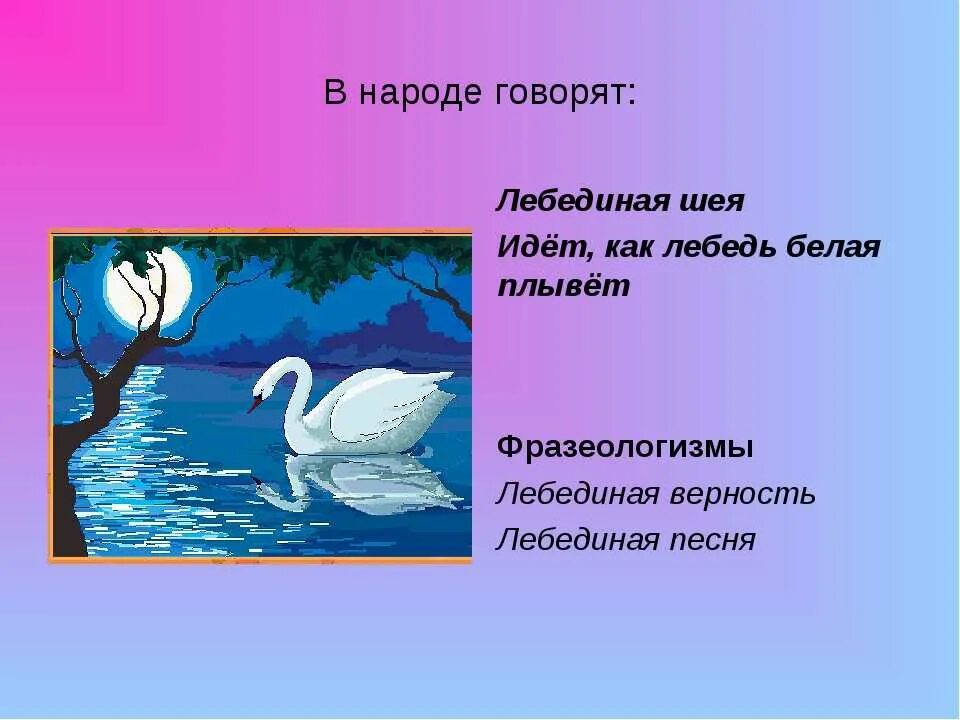 Четыре предложения о лебедях. Фразеологизмы с лебедем. Поговорки про лебедей. Лебединая верность фразеологизм.
