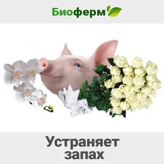 Биоферма