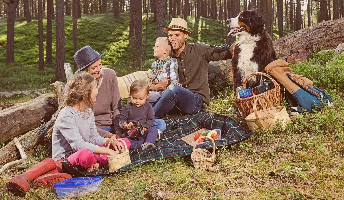Семейный пикник в лесу. Семья на пикнике в лесу. Семья отдыхает в лесу. Семейный поход в лес. Костя вместе с семьей отправился в путешествие