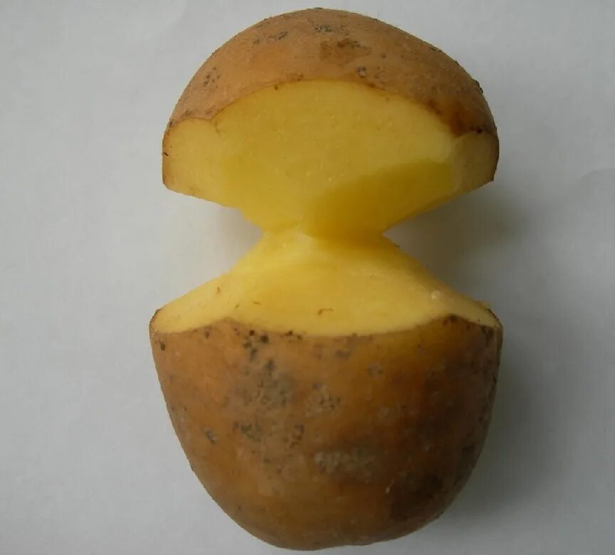 Режем картофель перед посадкой. Картофель. Китайский метод посадки картофеля. Китайская картошка. Китайский метод выращивания картошки.