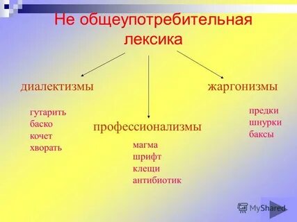 Самостоятельная работа диалектизмы профессионализмы жаргонизмы