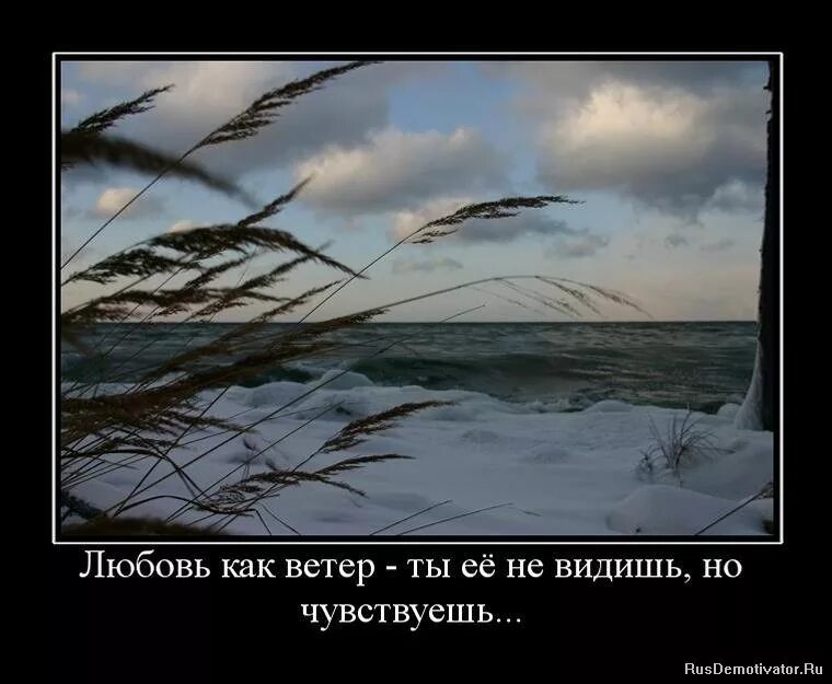 Я не вижу но чувствую фф