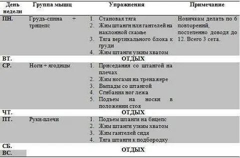 План тренировок мышц на неделю