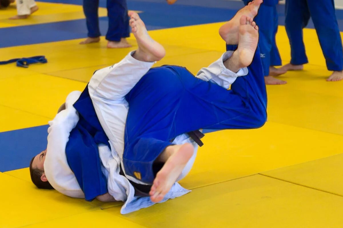 печенин дмитрий юрьевич дзюдо. тренер дзюдо дмитрий юрьевич. дзюдо. тренер дзюдо владимир зеленоград. монахов илья андреевич дзюдо.