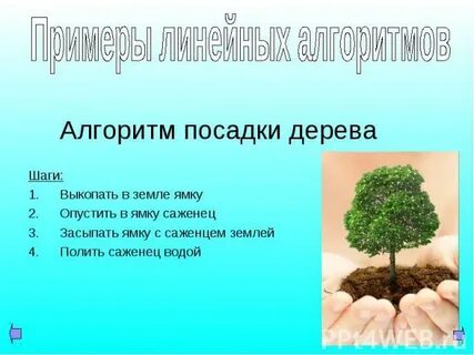 Посадки текст