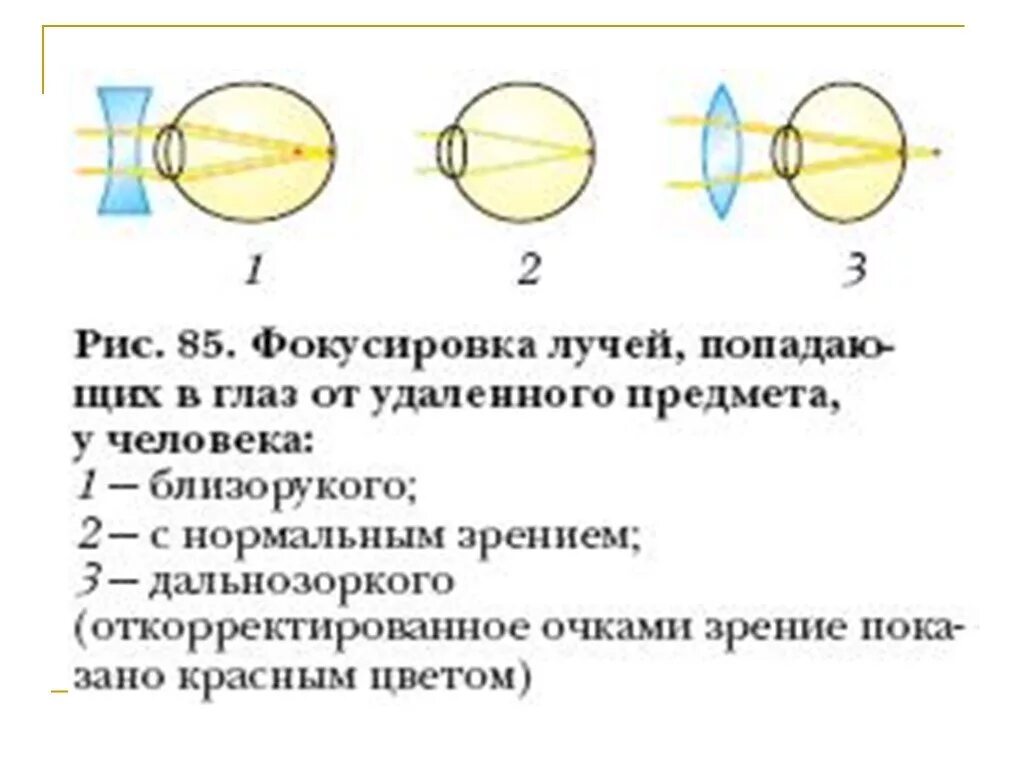 Фокусировка лучей света на внутренней поверхности