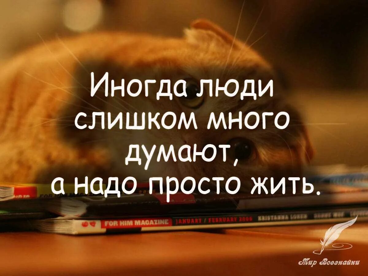 Жить надо высказывания. Надо жить цитаты. Просто жить цитаты. Нужные цитаты.