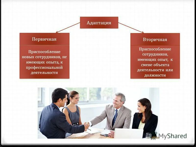 Опыт адаптации. Цели первичной адаптации. Опыт адаптации. Опыт адаптации. Компоненты социальной адаптации.