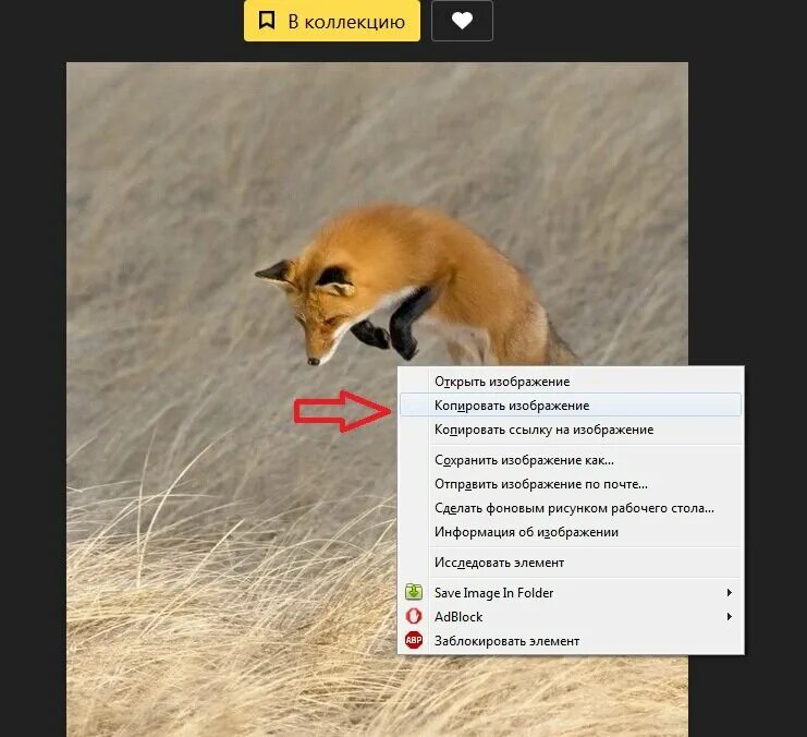 Как Скопировать картинку в Яндексе. Скачивание картинок с Яндекса. Почему не копируется картинка. Как Копировать изображение из Яндекса.