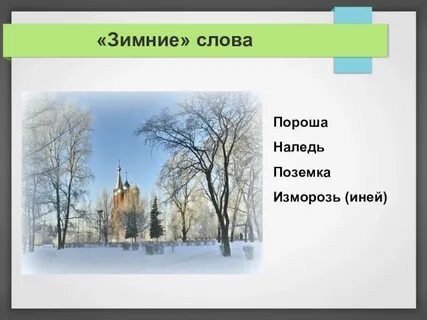 Слова со словом зим