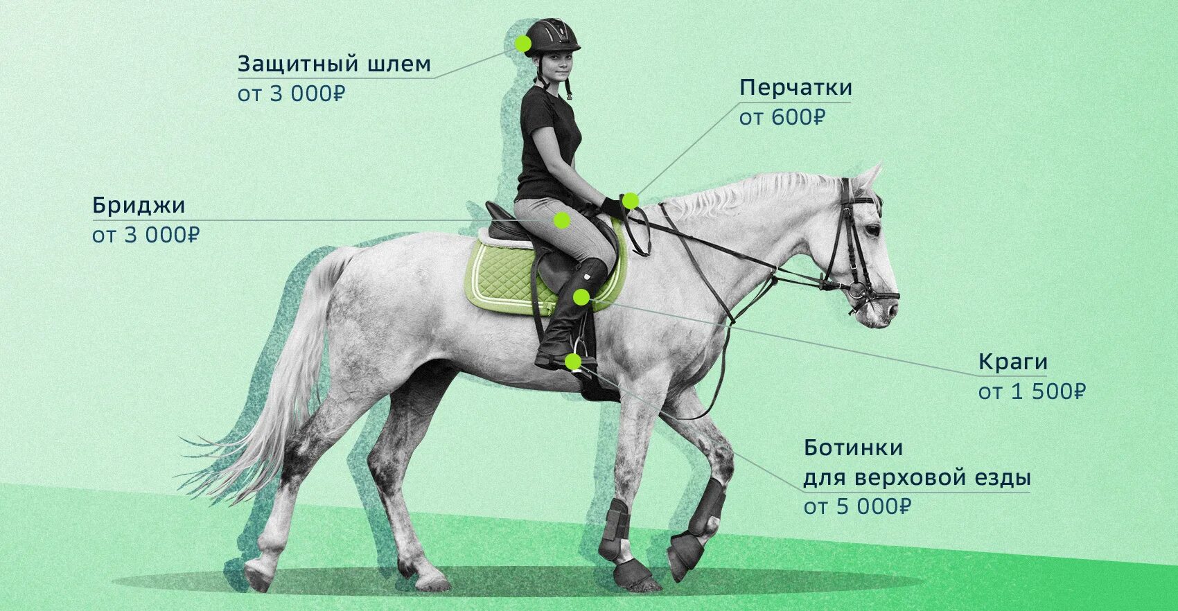 Индекс кск. Экипировка наездника. Экипировка наездника на лошади. Экипировка спортсмена в конном спорте. Занятия конным спортом в Москве.