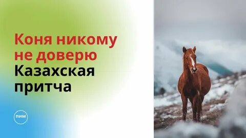 Лошади притчи