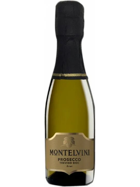 Prosecco treviso brut. Вино Монтельвини Просекко. Шампанское Монтельвини Просекко. Монтельвини Просекко Тревизо. Игристое вино Просекко Монтельвини Тревизо.