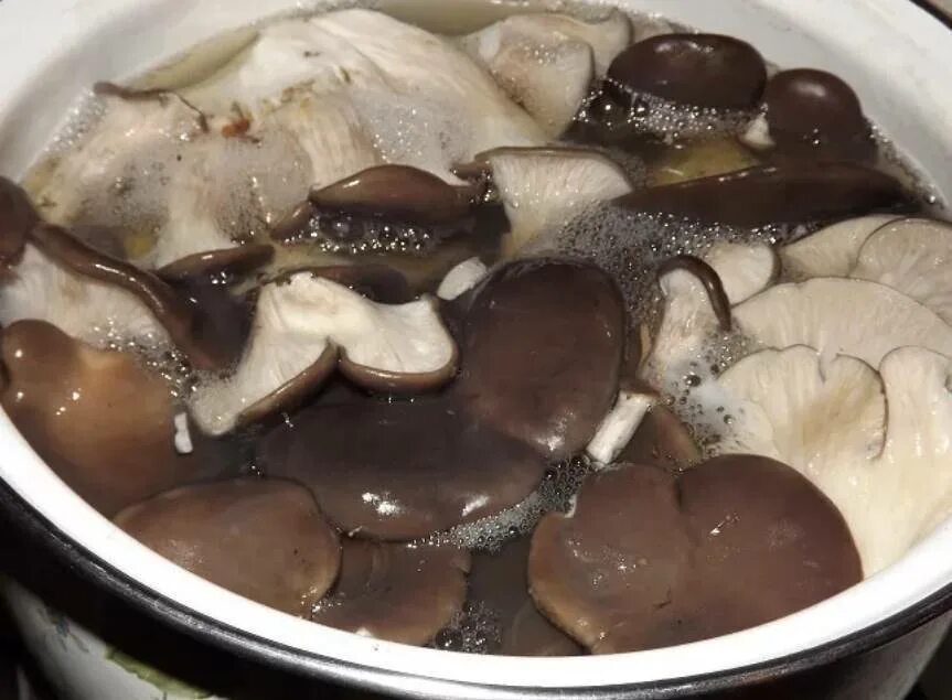 Вешенки вареные. Как засолить вешенки. Вешенки отварные. Грибы еринги. Вешенка вареная.