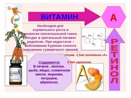 Витамины проект по биологии 8 класс