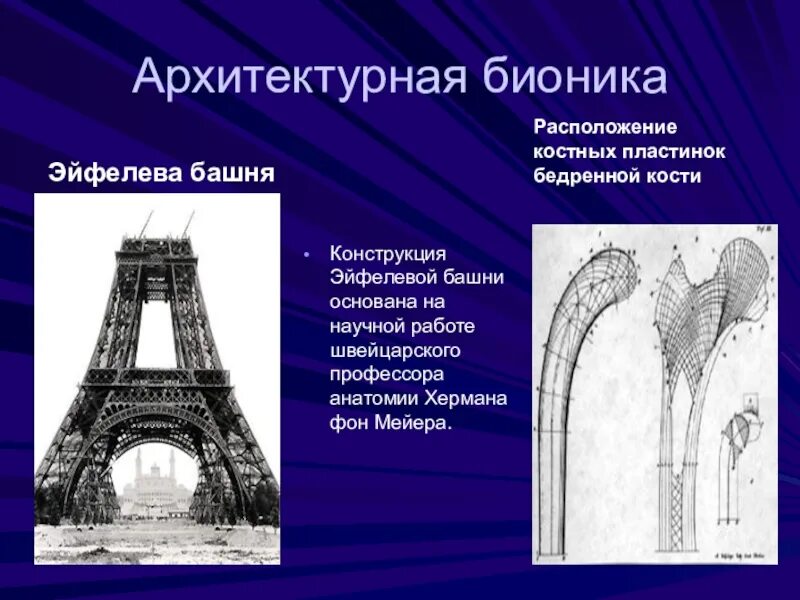 На рисунке изображена башня. Бионика в архитектуре эйфелева башня. архитектурно строительная бионика эйфелева башня. архитектурная бионика презентация. принципы бионики в архитектуре.