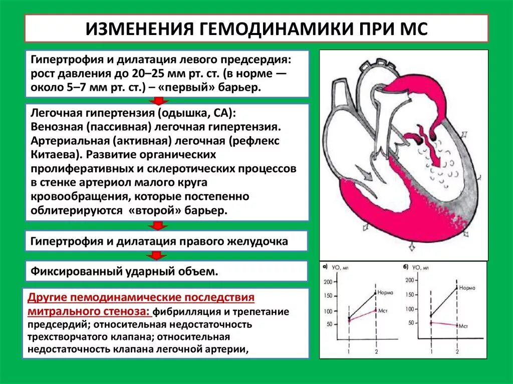 Схема нарушения гемодинамики. Митральная недостаточность гемодинамика схема. Митральный стеноз изменения гемодинамики. Гиподинамика митральный стеноз. Гемодинамика пациента