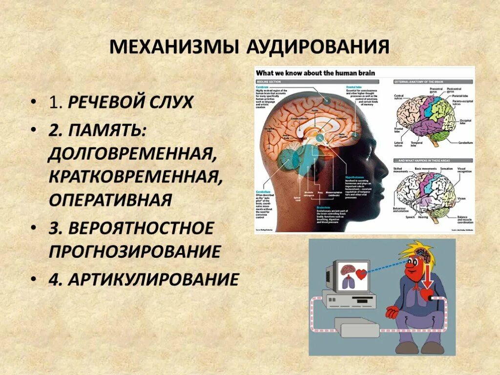 Аудирование с пониманием. Механизмы аудирования. Речевые механизмы в аудировании. Кратковременная и долговременная память. Долговременная память человека.