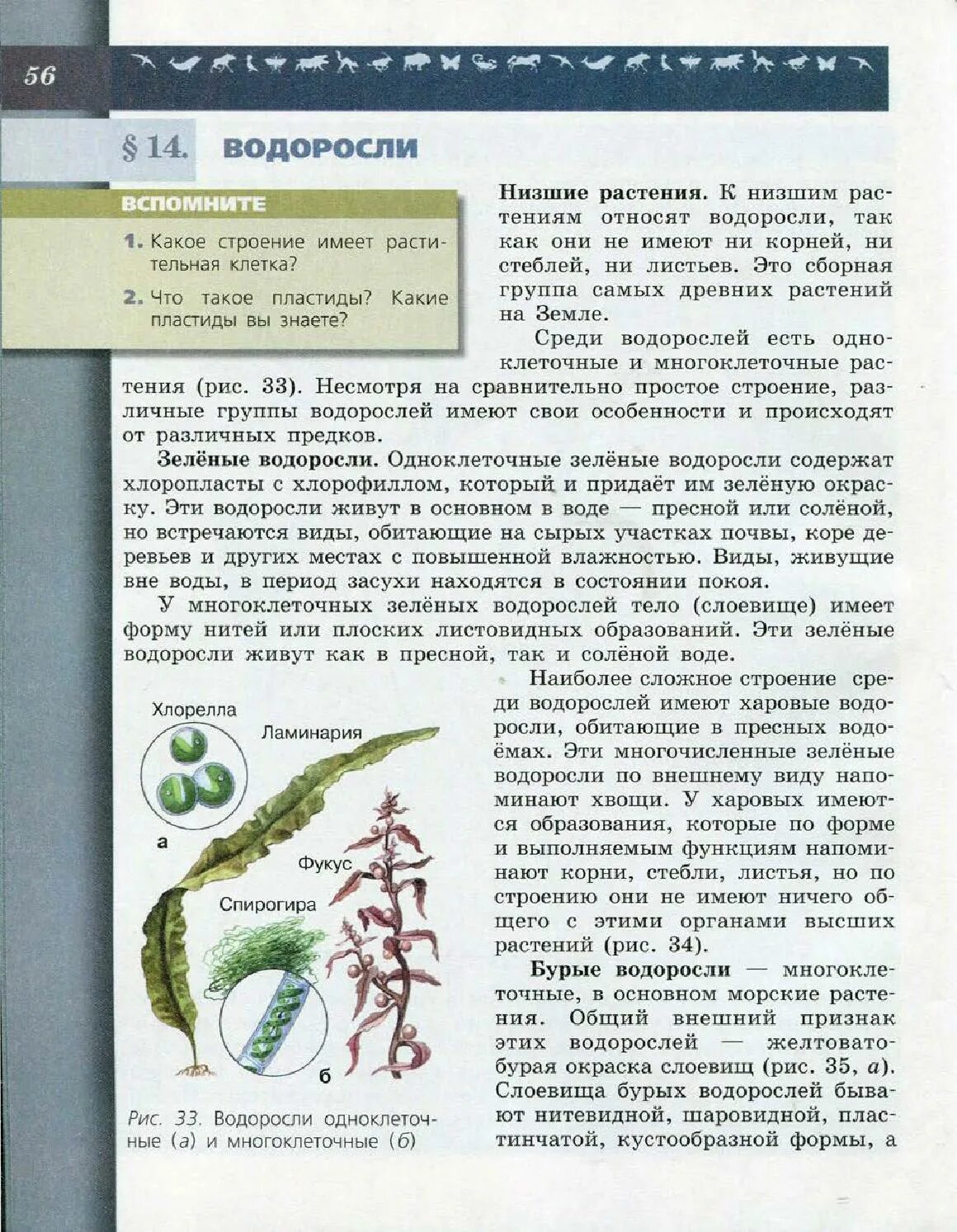 Страницы учебника по биологии. Учебник по биологии 6 класс параграф 7 пасечник. учебник по биологии 7 класс пасечник учебник. биология 6 класс пасечник 6 параграф. биология 6 класс пасечник 1 параграф.