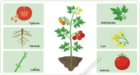 Порно бейнелер байқаусызда түсірілген