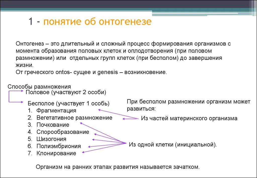 Работа по онтогенезу 10 класс. Онтогенез. Понятие онтогенеза. Термин онтогенез. Индивидуальное развитие понятия.