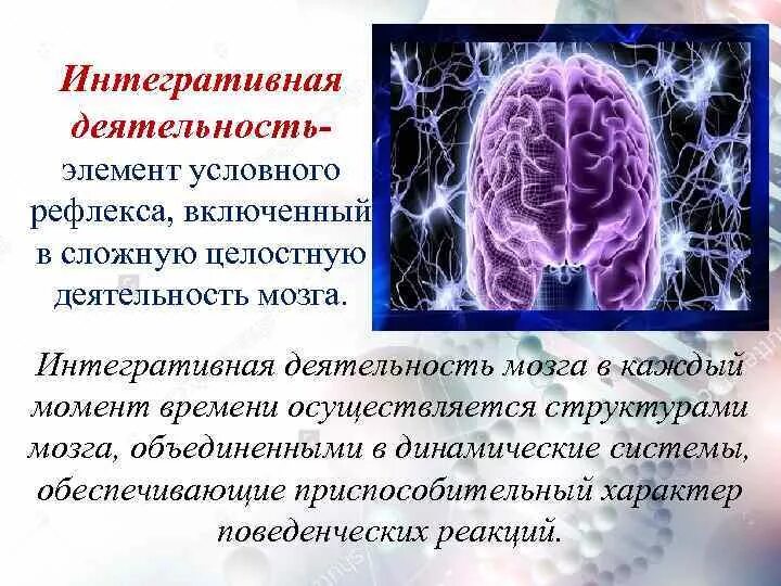 Высшие интегративные функции. Высшие интегративные функции