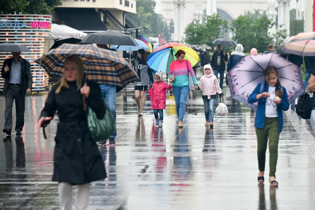 Алиса сегодня дождь есть. Дождливый день. Дождливая погода. Небольшой дождь. Дождливый день в Москве.