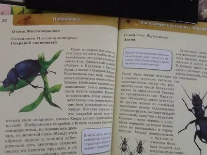 Знаешь насекомых