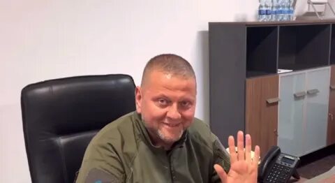 Залужный интервью