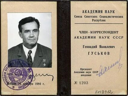 Конструктор гуськов