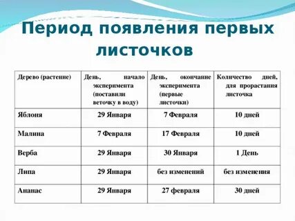 Дата появления